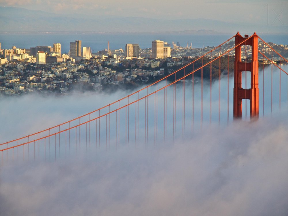 Golden Gate Morning Fog