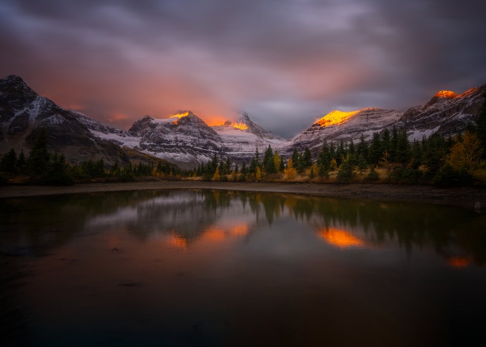 Golden Peaks Reflection