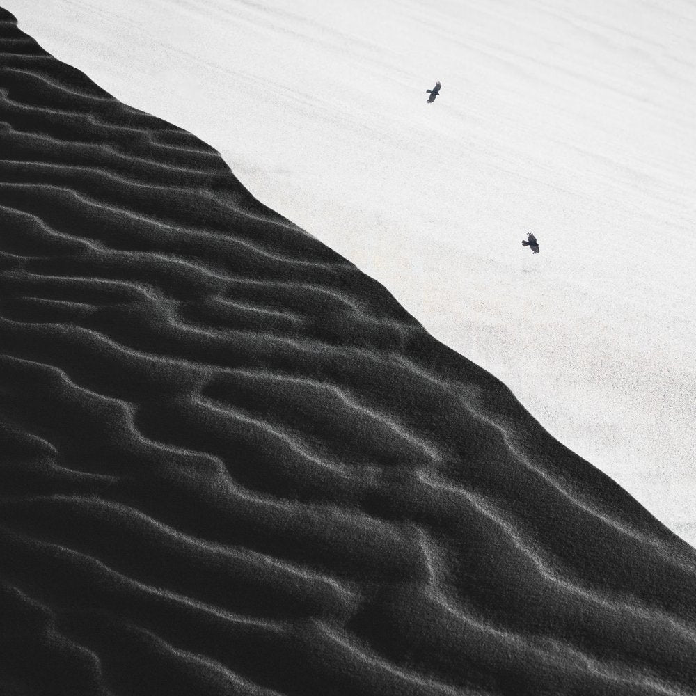 Black and White Dunes