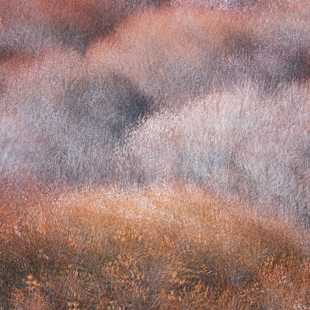 Earthy Textured Landscape