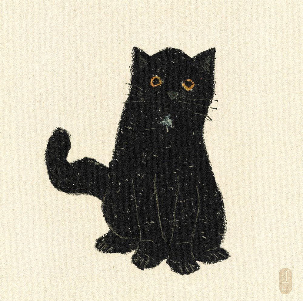 Charming Black Cat