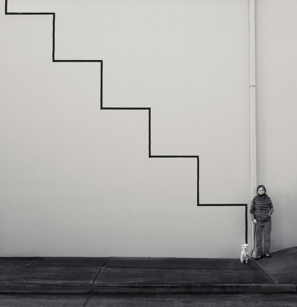 Optical Staircase Dog Walk