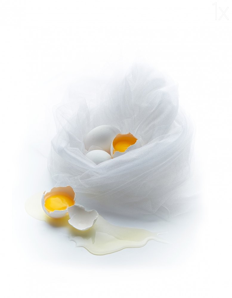 Fragile White Eggs