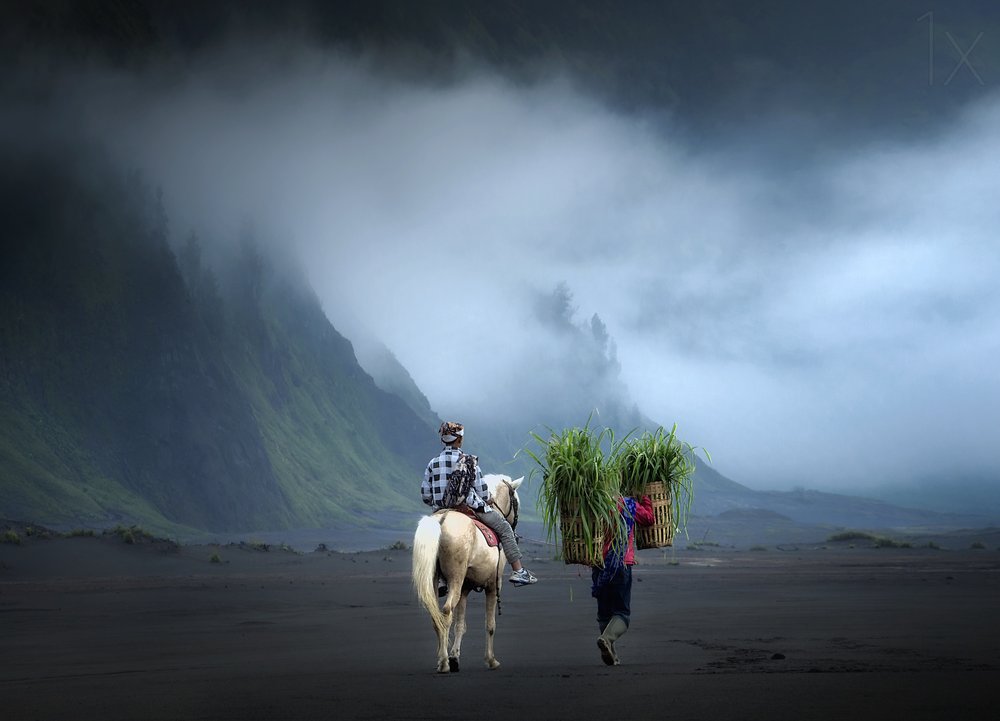 Misty Mountain Journey