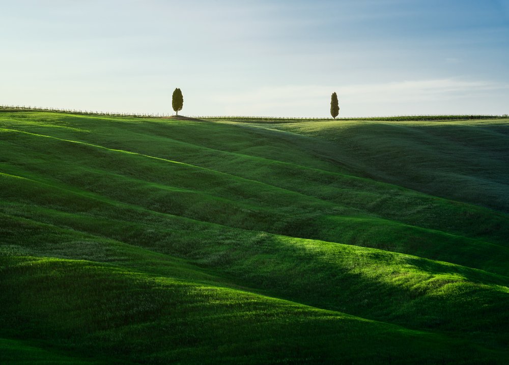 Tuscan Cypress Hills