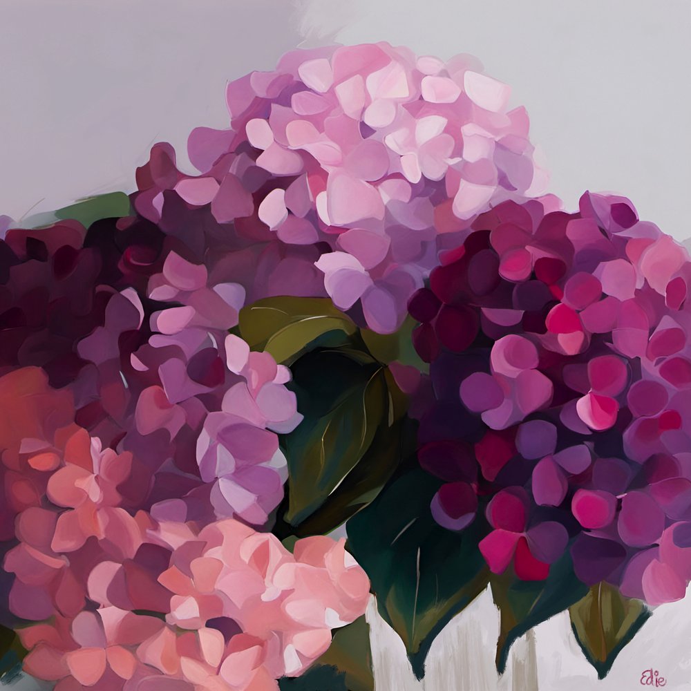 Vibrant Hydrangea Blooms
