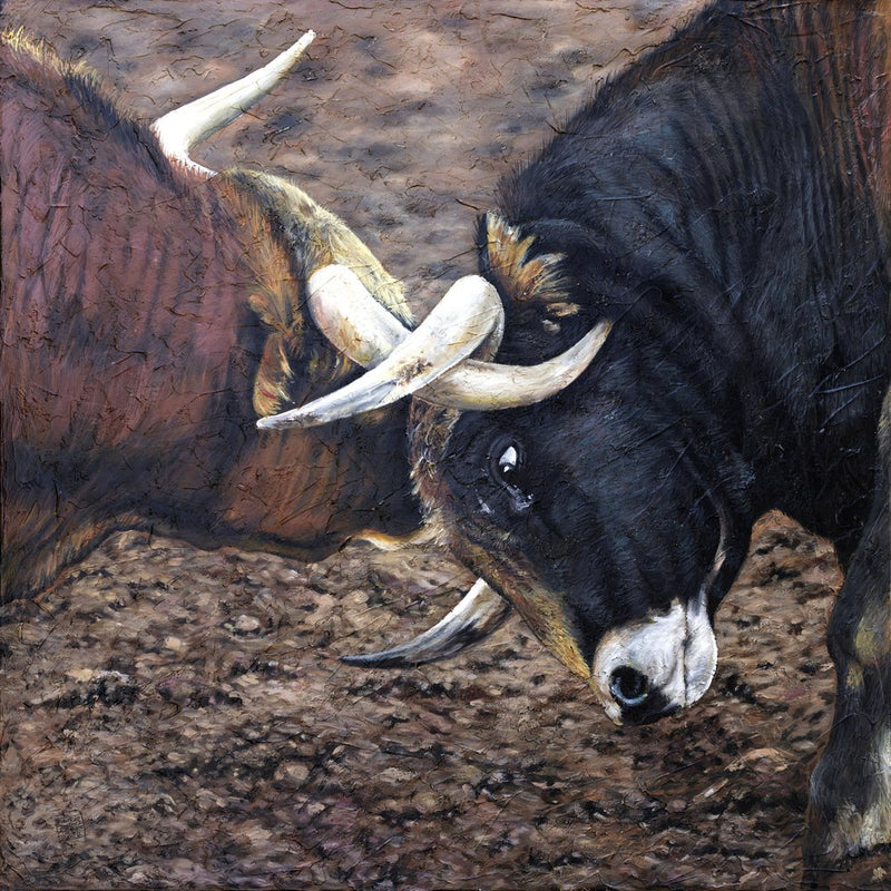 Clash Of Bulls