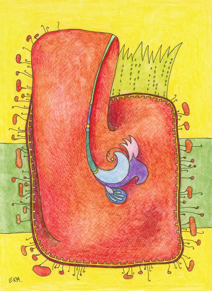 Whimsical Abstract Forms