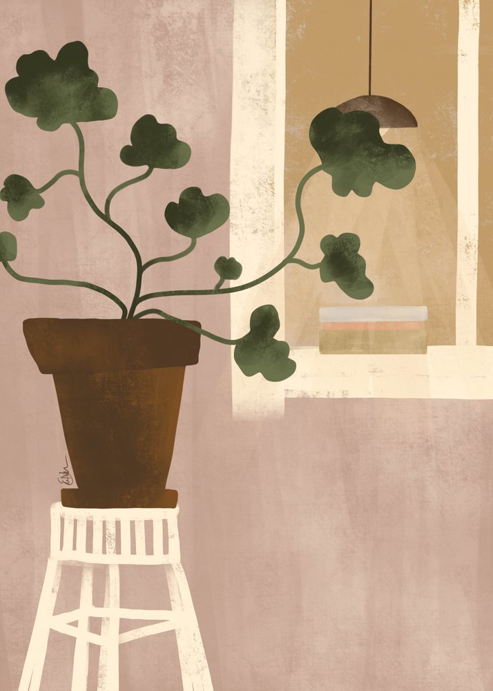 Cozy Houseplant Window