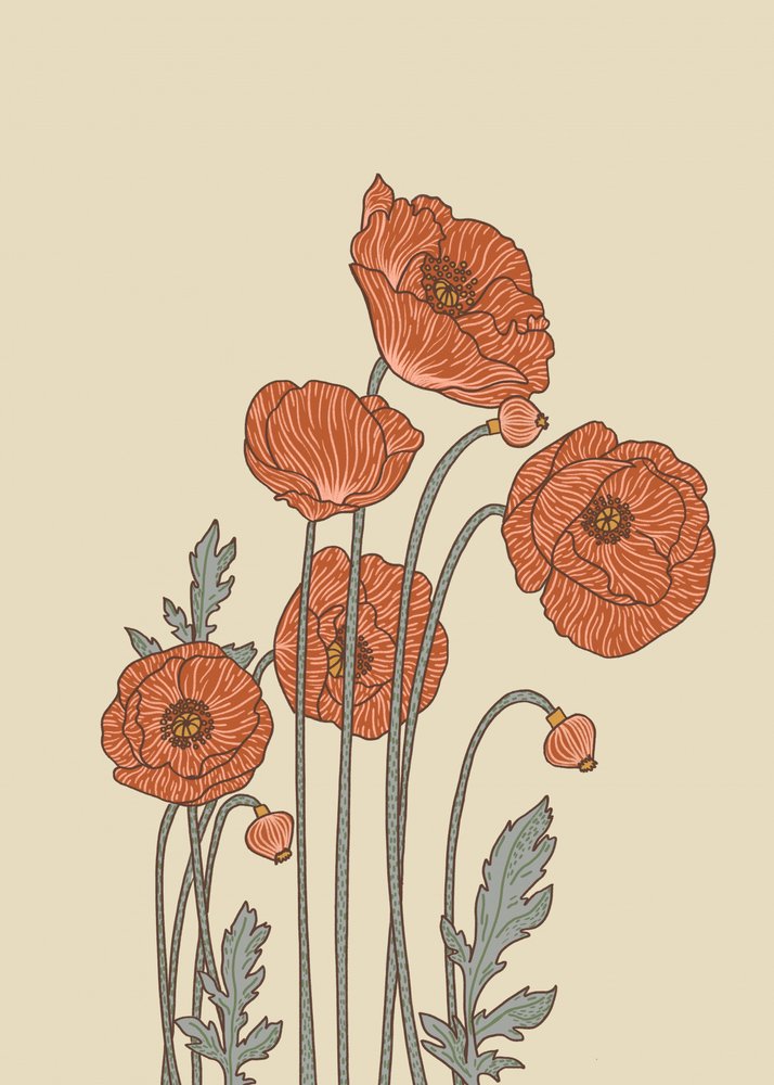 Elegant Poppy Blooms