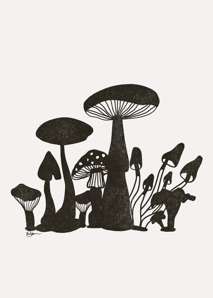 Enchanted Mushroom Forest
