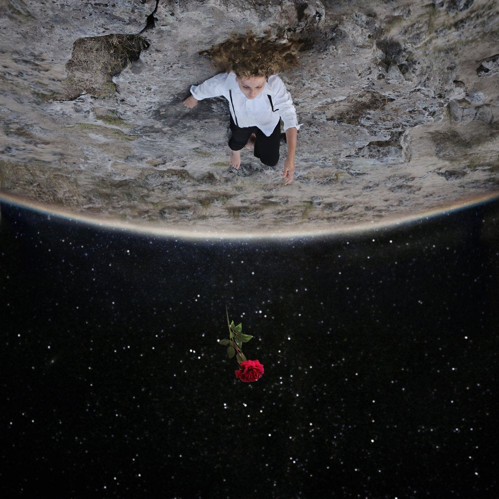 Girl And Falling Rose