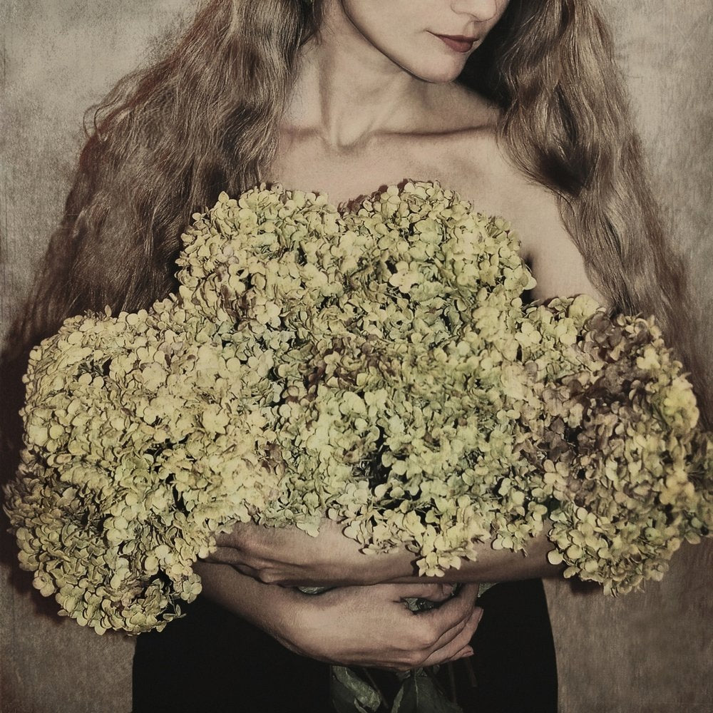Woman with Dried Hydrangeas