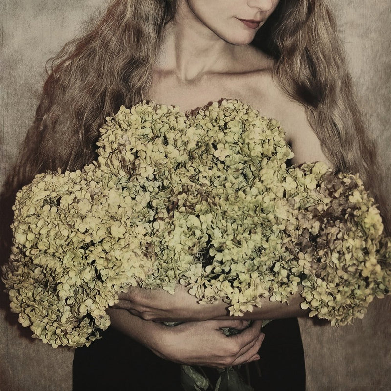 Woman with Dried Hydrangeas