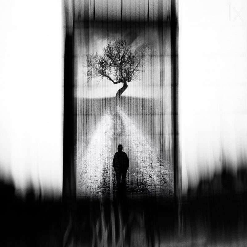 lost in dreams