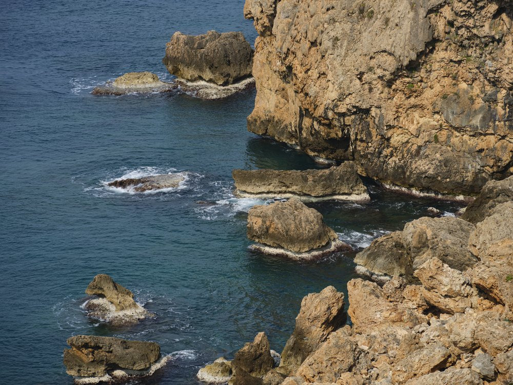 Rocky Ocean View