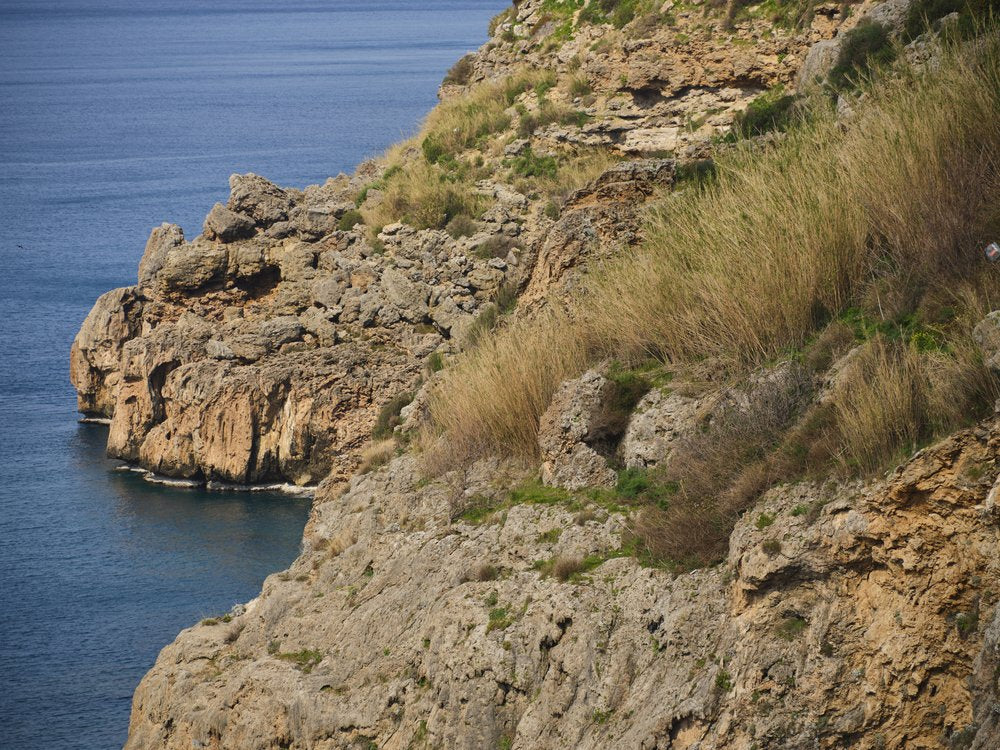 Rugged Coastal Cliffs