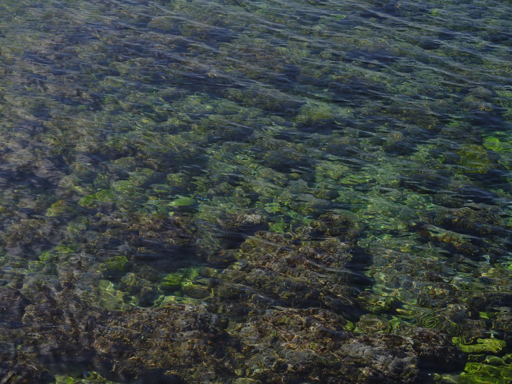 Shallow Water Greens