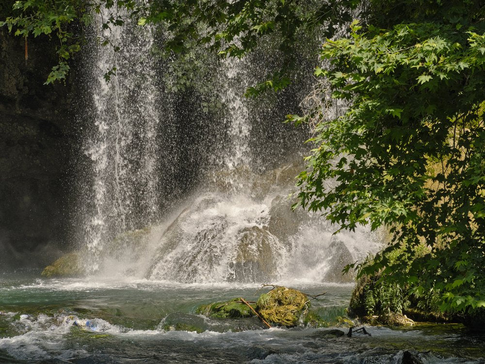 Rushing Forest Waterfall