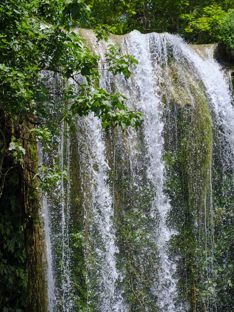 Lush Green Waterfall