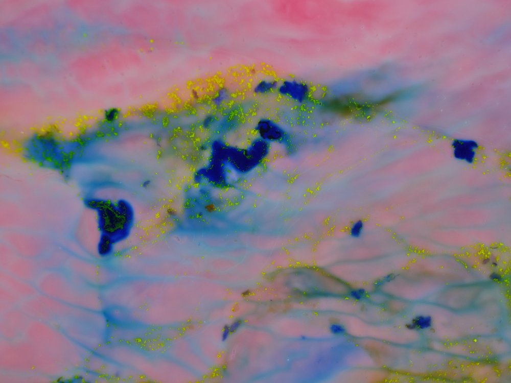 Vibrant Fluid Motion