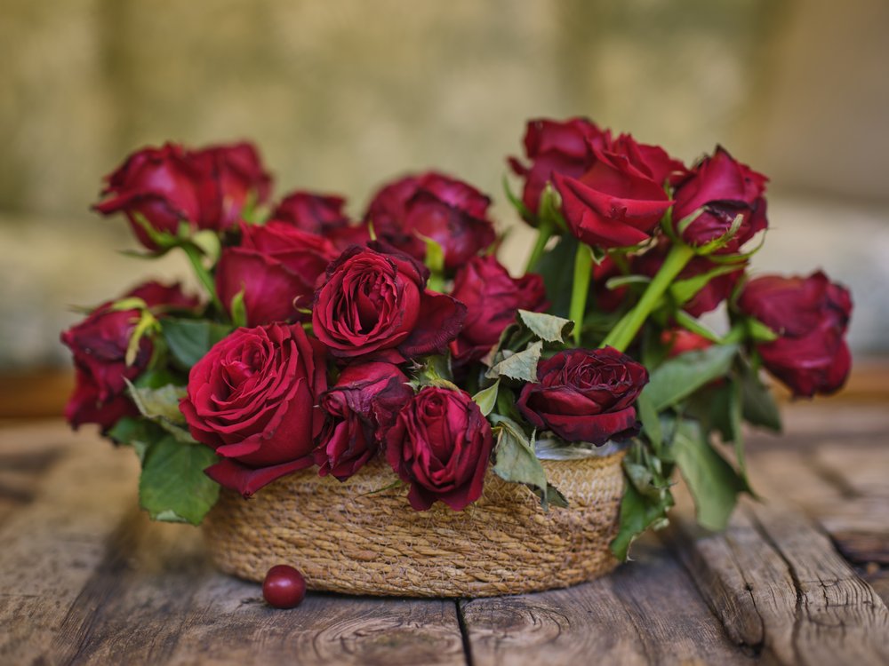 Deep Red Rustic Roses