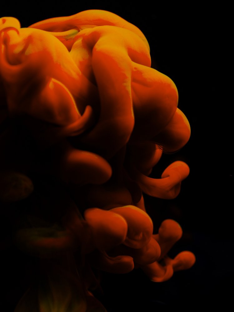 Dynamic Orange Flow