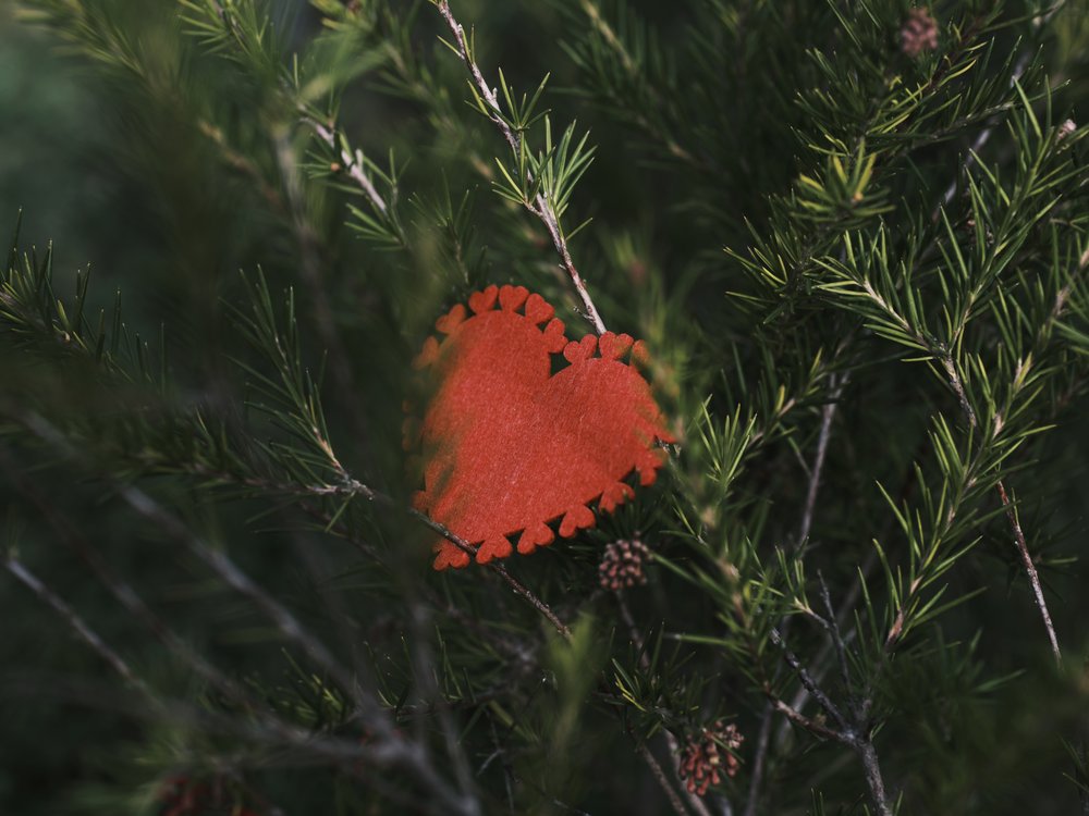 Rustic Red Heart