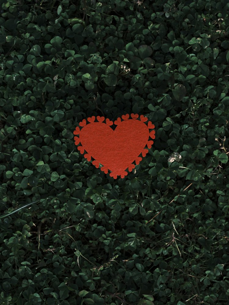 Love in Clover