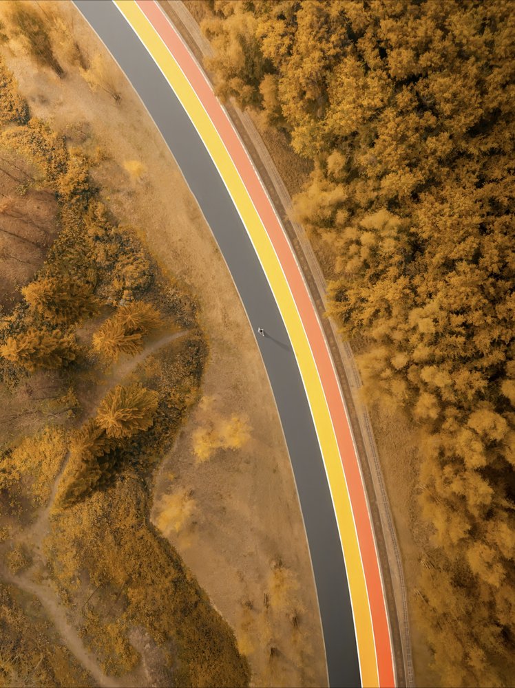 Aerial Autumn Path