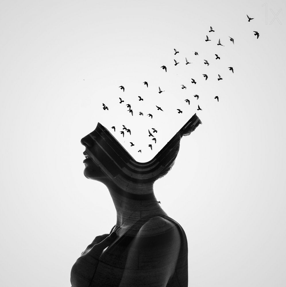 Imagination Takes Flight