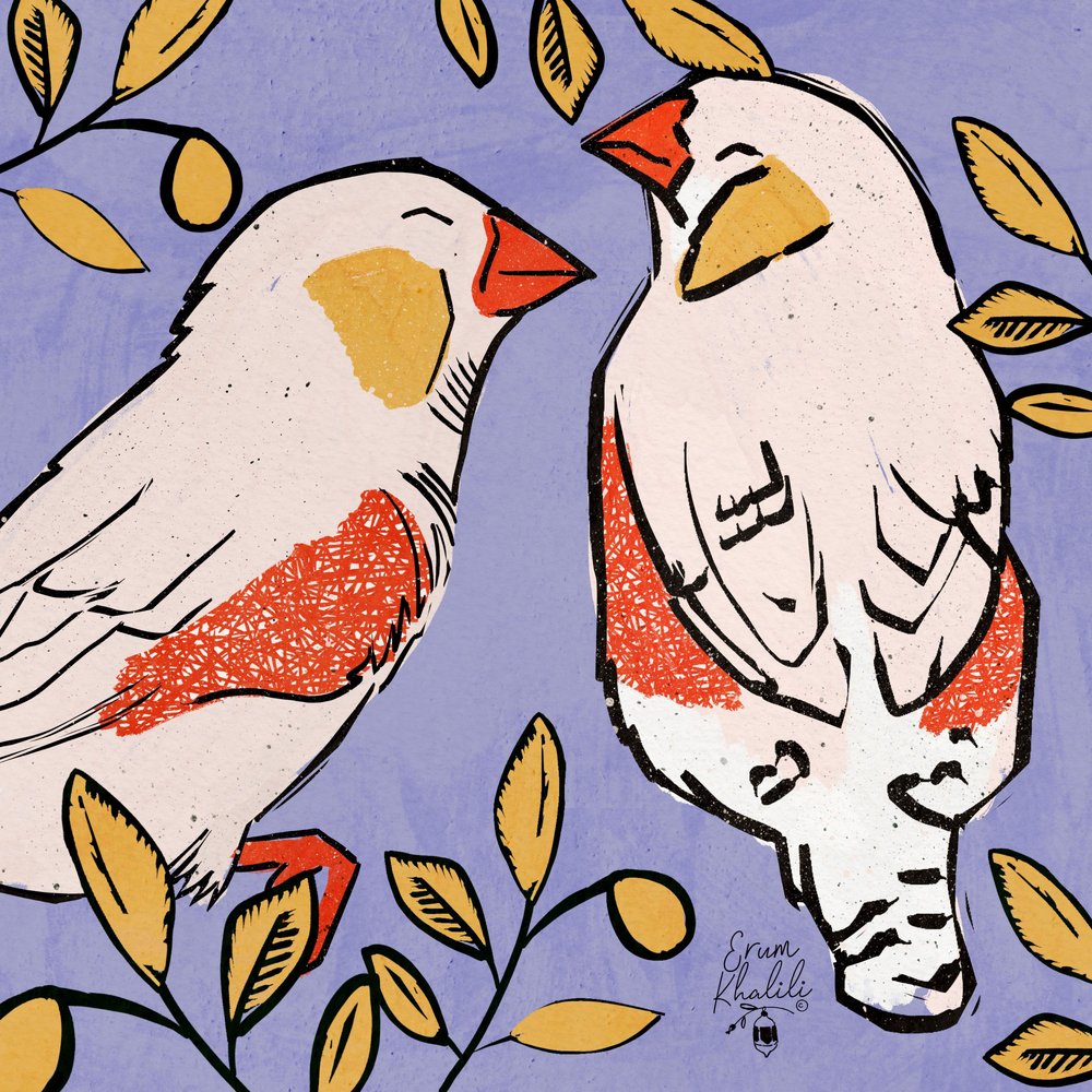 Two Gentle Finches