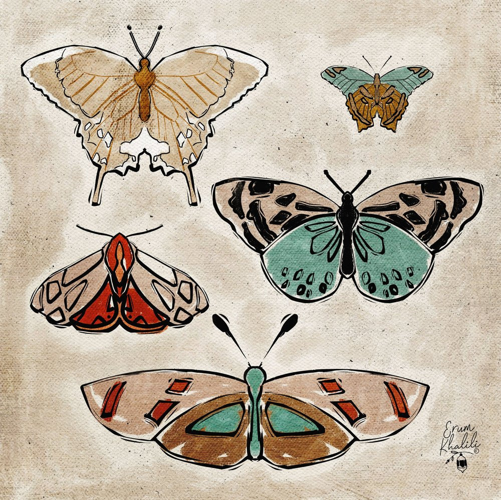 Vintage Insect Illustrations