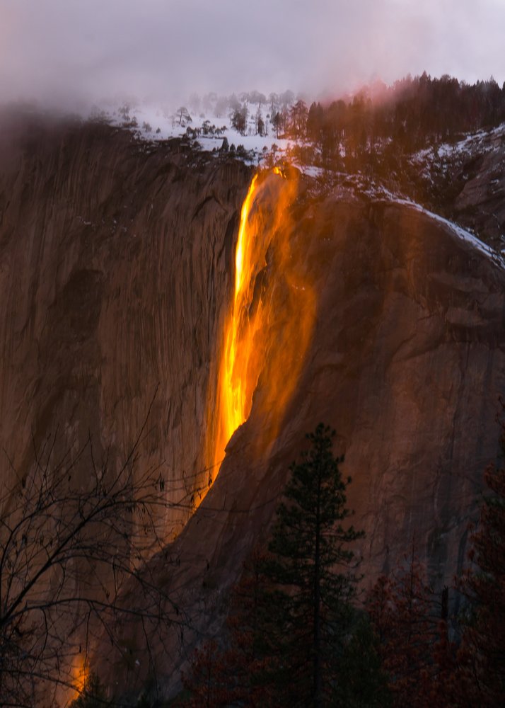 Golden Firefall Cascade