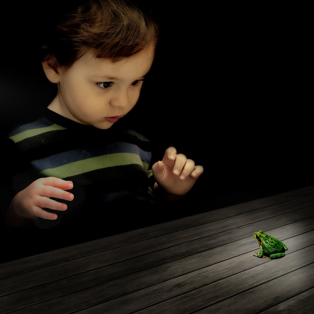 Curious Boy and Frog