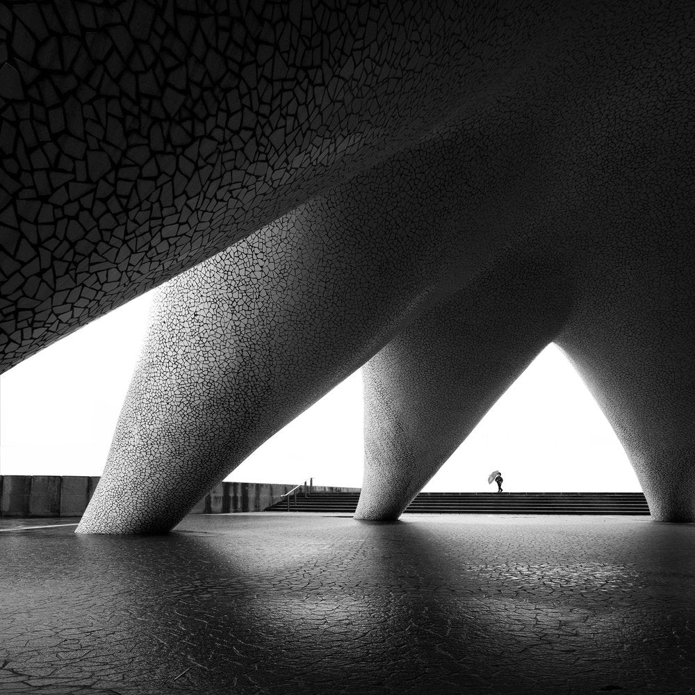 Monochrome Architectural Curves