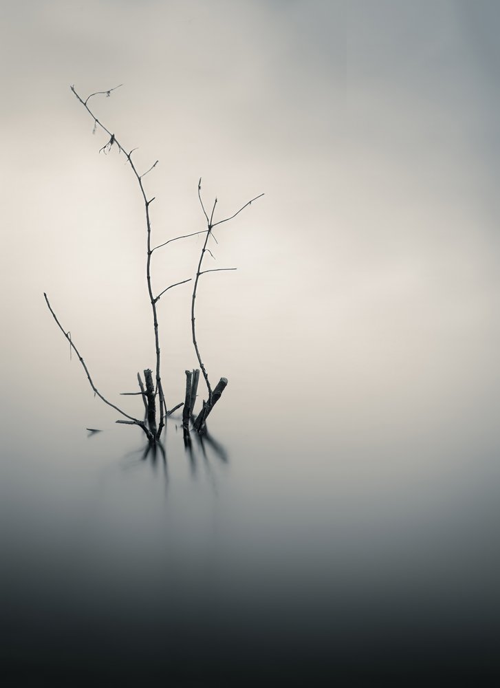 Still Water Branches