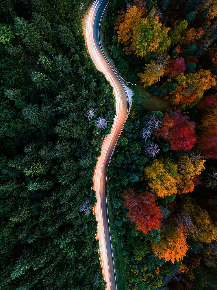 Autumn Road Light Trails