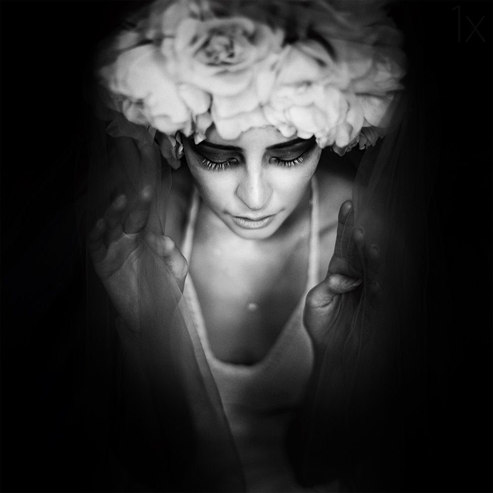 Dreamy Rose Crown