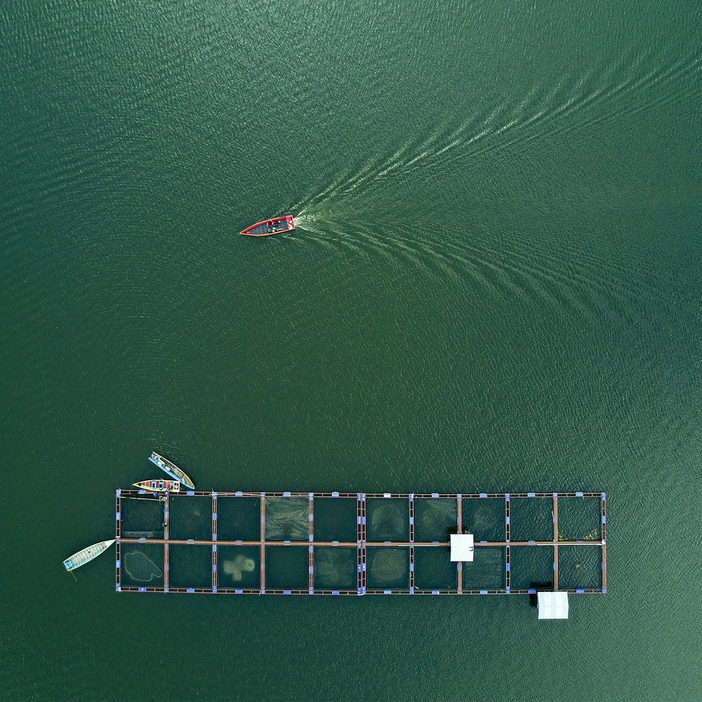 Aerial Lake Fish Farm