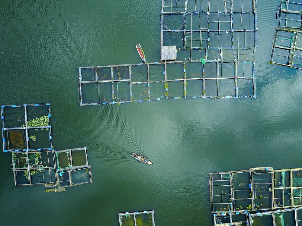 Aerial Fish Farms