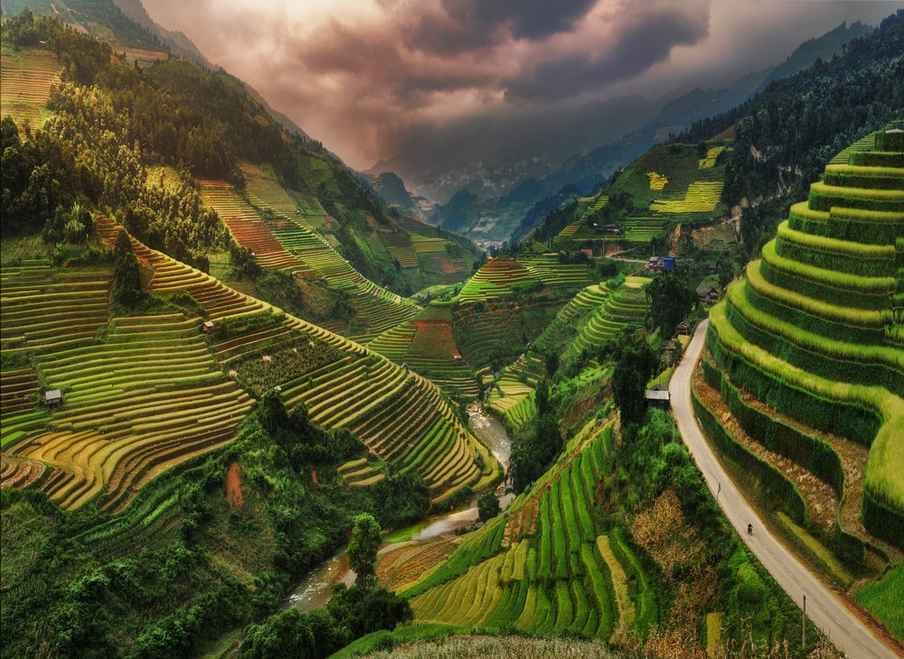 Golden Valley Rice Terraces