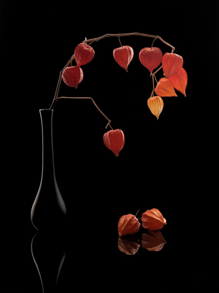 Glowing Autumn Lanterns