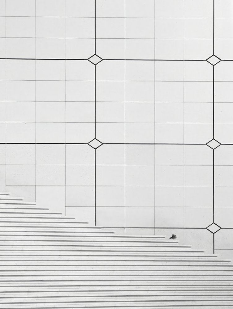 Bird on Geometric Staircase