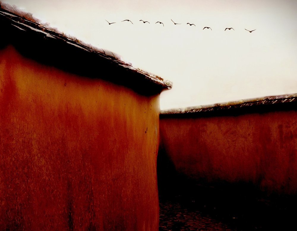 Ancient Walls Soaring Birds
