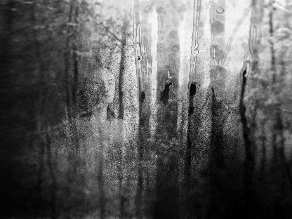 Rainy Forest Solitude