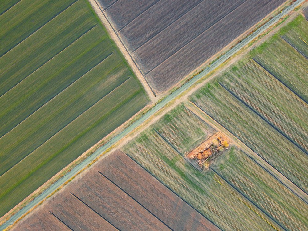 Autumn Geometric Fields