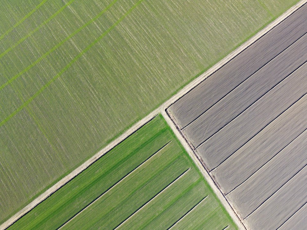 Geometric Field Patterns