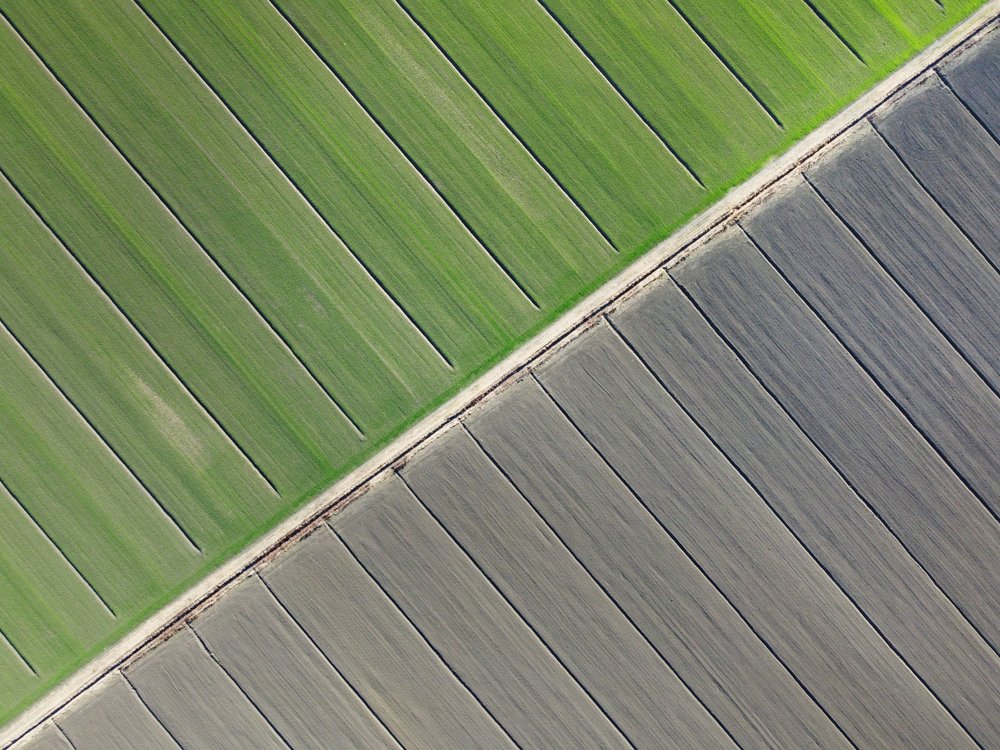 Green Earth Divide