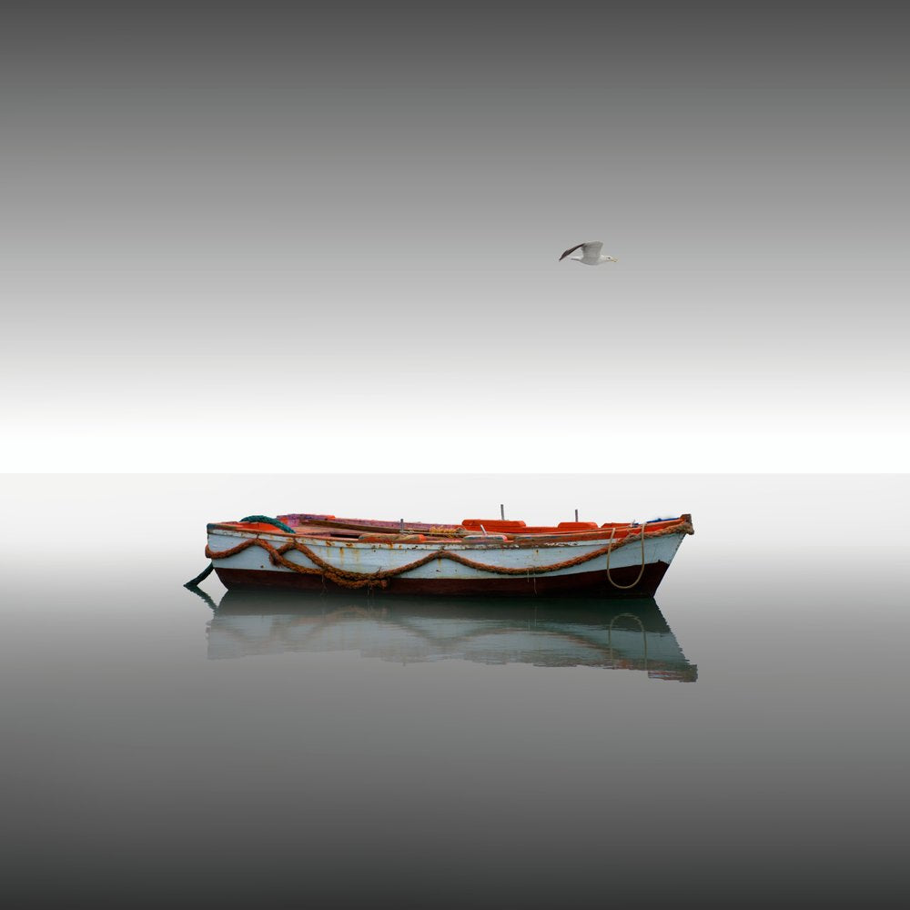 Serene Boat And Bird